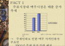 [광고제안서] 라거 맥주 2페이지