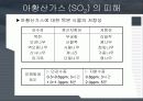 대기오염물질에 의한 수목의 피해 7페이지