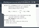 대기오염물질에 의한 수목의 피해 11페이지