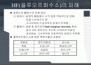 대기오염물질에 의한 수목의 피해 13페이지