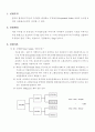 Type 1 of Sedimentation(결과 Report) 1페이지