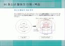 청소년_활동-chapter4-청소년 활동의 교육적 효과 4페이지