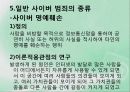 [사회문제론]일반 사이버 범죄 16페이지