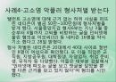 [사회문제론]일반 사이버 범죄 21페이지