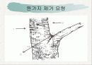 녹지시설물의 유지관리_전정과가지치기 21페이지