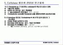 미생물이 생산하는 cellulase 셀롤라이제 (식이섬유분해효소) 7페이지