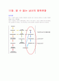 (조선대, 안영준)2012년 2011년 여름 및 겨울 지구에서 만나 살아가는 남자와 여자 총정리 및 중간고사  기말고사 56페이지