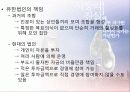 시장의 진실(선진국과 후진국의 빈부격차, 불공평한 시장 경제의 근거) 11페이지