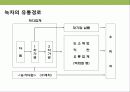 설녹차 성공 경영 전략 7페이지