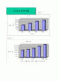 E-biZ(전자상거래) 13페이지