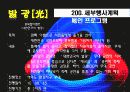 축제이벤트론 레포트 A+ (빛축제-발광[光] light축제기획서 ppt발표용)  24페이지