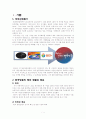 2010-2012 한국방문의 해의 마케팅 발전 방안 3페이지