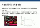 기업의 디자인 경영 전략 발전의 이해 & 성공사례 분석 21페이지