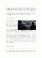 [올해최신A+자료]펠론영화감상문[감상문펠론][펠론영화감상문][펠론영화감상][영화 펠론 감상문][펠론] 4페이지
