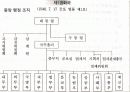 남한의+통치구조와+행정 6페이지