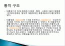 남한의+통치구조와+행정 17페이지
