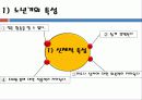 사회체육의 활동대상 22페이지