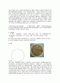 생물-Antibiotics & Antimycotics(Fungistat) (항생제 항진균제) 2페이지