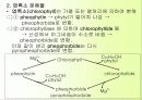 식품오염물의 위생 22페이지