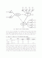 태권도 선수들의 자율성 지지, 자기결정 동기 및 자기관리간의 인과 관계 8페이지