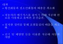 지구온난화와산성비 44페이지