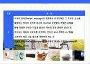 삼성전자의 디자인 혁신 경영전략 14페이지