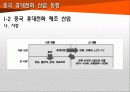 중국 기술 추격(반도체, LCD, 휴대폰) 55페이지