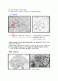 코펜하겐 도시의 특성 도시계획 및 조직 4페이지