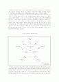 다문화 가정의 아이들의 학교 부적응관련 프로그램 기획 2페이지