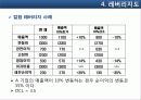 레버리지비율과 리스크 15페이지