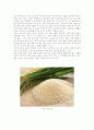쌀의 도정도 신선도 및 찹쌀 멥쌀 판별법 4페이지