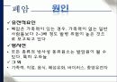 폐암과 기흉의 치료와 간호 13페이지