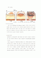 20110103화상환자case study-논문사례연구, 학사졸업제출 6페이지