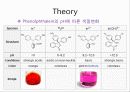 검화가 Saponification-Value 12페이지