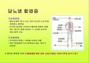 당뇨병 환자 및 당뇨 관련 교육자를 위한 PPT (당뇨 길라잡이, 당뇨병! 바로 알고 이겨내자!) 13페이지