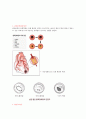 관상동맥 질환 협심증 건강문제 간호 2페이지
