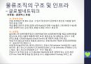 현대자동차그룹 GLOVIS(글로버스)조사 분석 36페이지