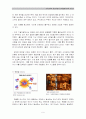 기후변화의 환경위험과 신재생에너지의 가능성 10페이지