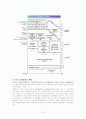 우리나라와_미국의_교육과정_비교분석 25페이지