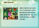 생물 다양성 감소와 지속 가능개발 (Biodiversity loss & Sustainability and Policy) 4페이지