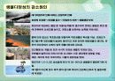 생물 다양성 감소와 지속 가능개발 (Biodiversity loss & Sustainability and Policy) 7페이지