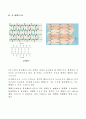 기초생화학 단백질의 구조(1차~4차) 6페이지