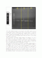 [기초유전학실험]3.PCR (Polymerase Chain Reaction) 6페이지