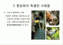 종분화[speciation, 種分化]정리 6페이지