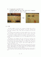 [논리회로실험설계] 7 세그먼트, 7-segment 설계 17페이지