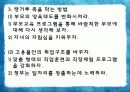 성인기_최종판[1] 29페이지
