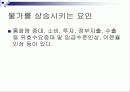 국제기업환경세미나 34페이지