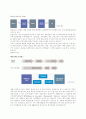 20세기 환경회계 29페이지