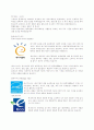 20세기 환경회계 31페이지