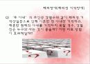 이상심리학발표 27페이지